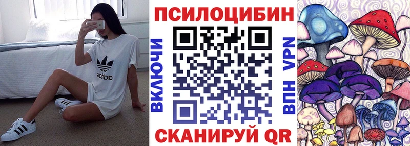 где найти   Верхний Уфалей  блэк спрут как войти  Галлюциногенные грибы Magic Shrooms 